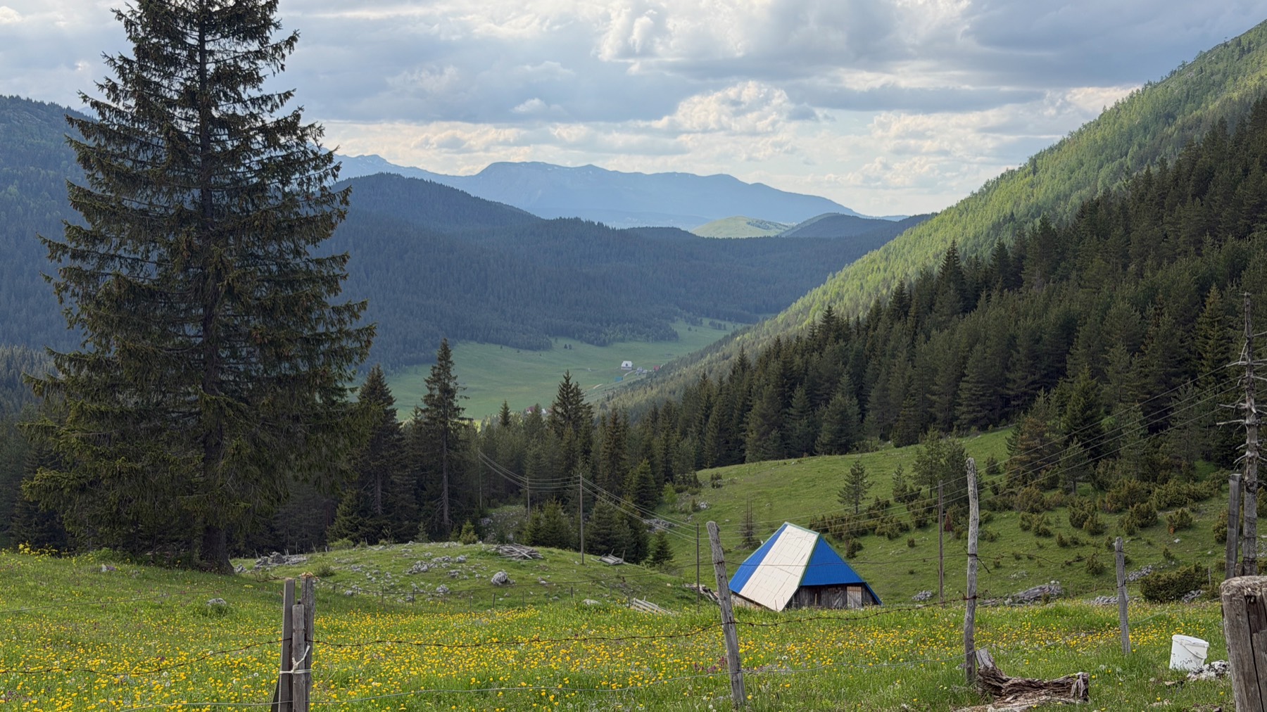 A shepherd's hut in a wildflower meadow above a valley in Durmitor, Montenegro
