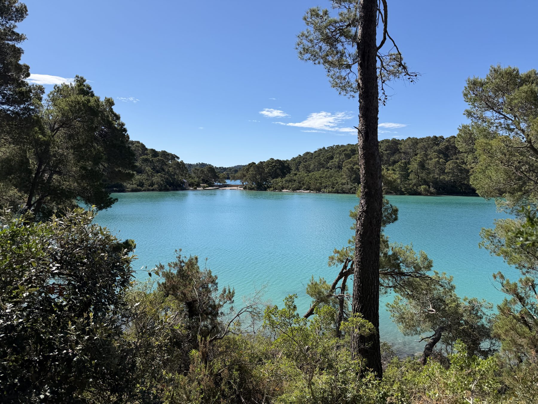 The turquoise saltwater lake of Mljet National Park seen through the pines