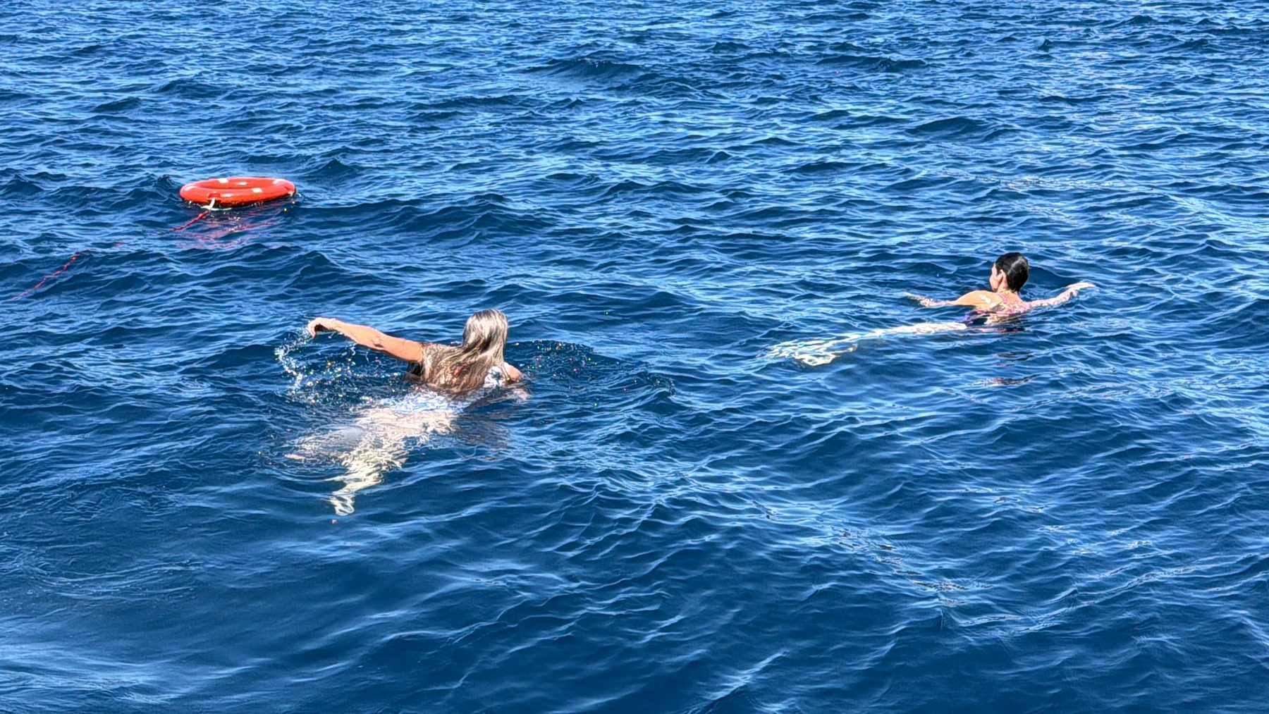 Travelers swimming in the open Adriatic during a swim stop off the back of the boat