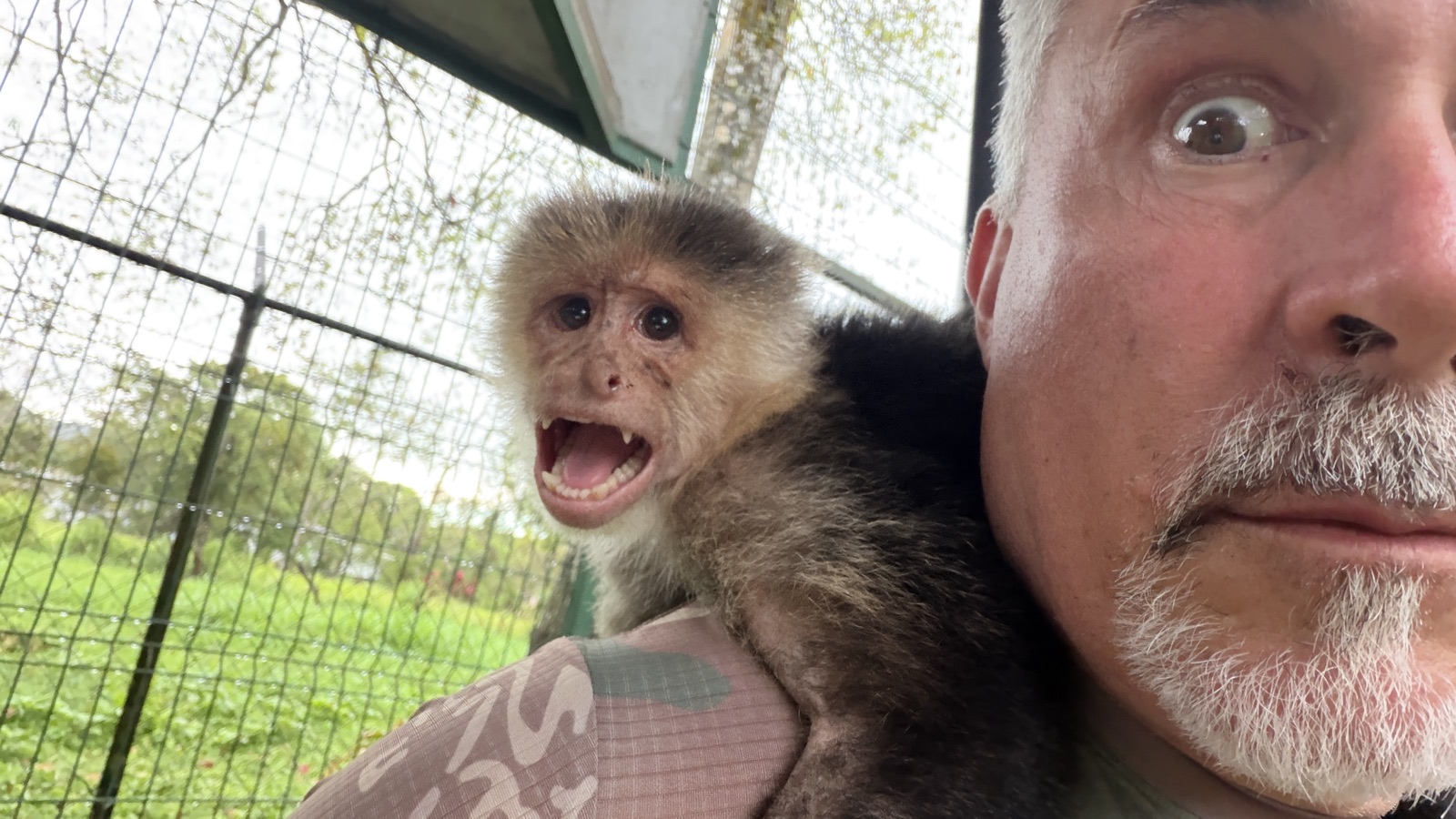 Chuck with capuchin monkey on shoulder, Panama