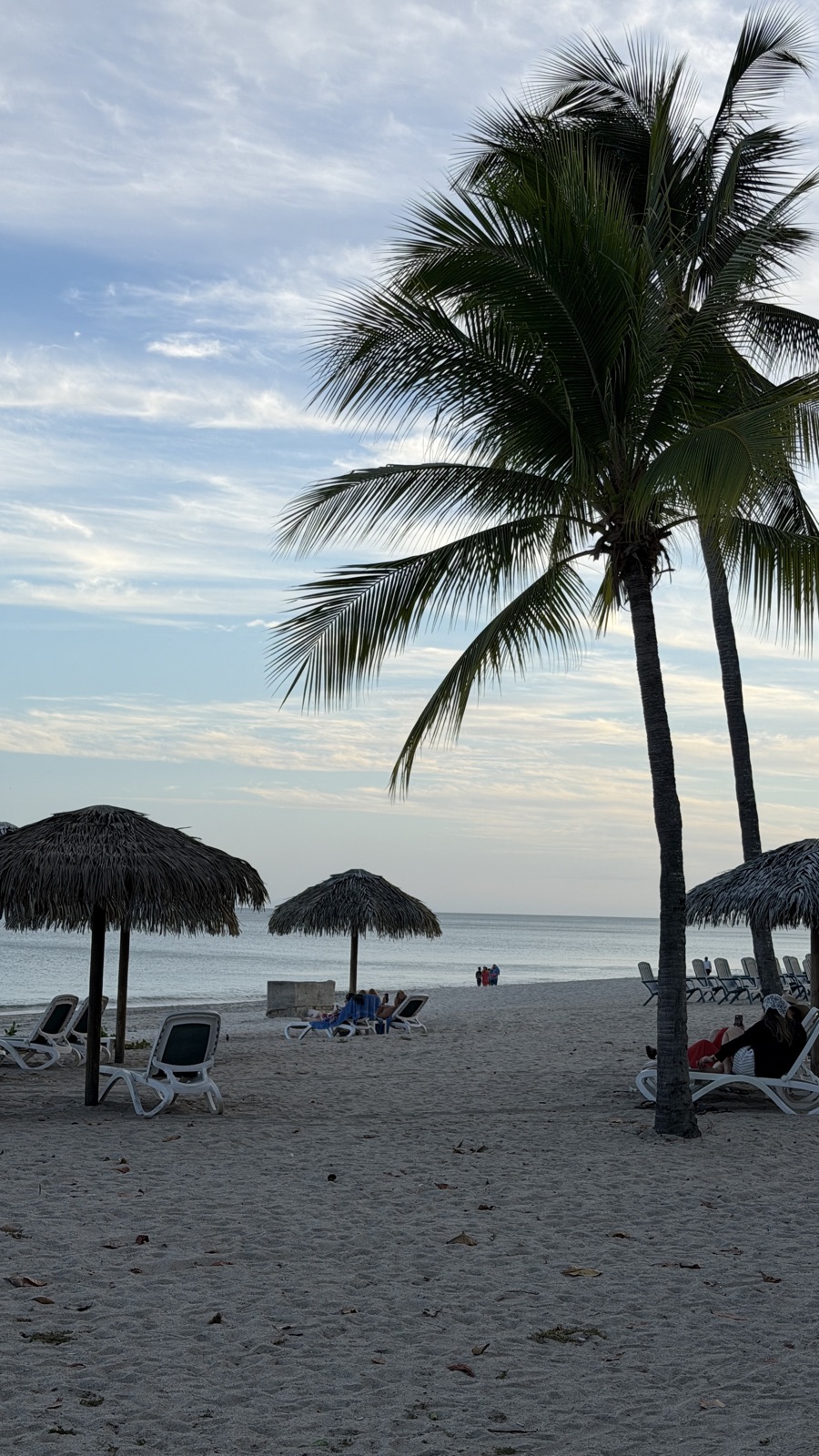 Pacific beach with palms at dusk, Panama