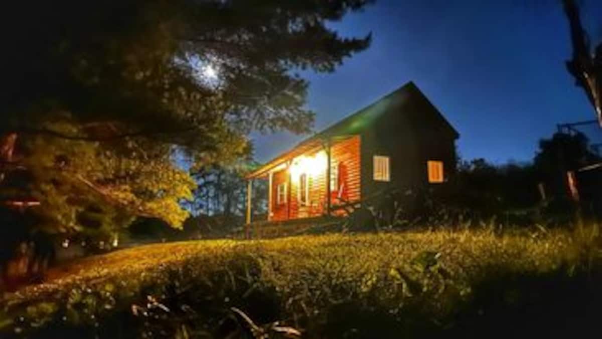 Apple Tree Cabin lit up at night under a moonlit sky