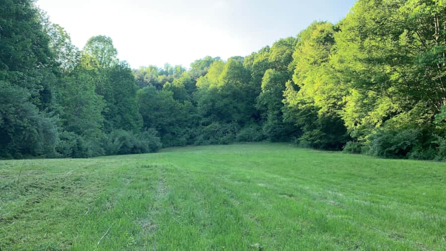 The open pasture on the property, ringed by hardwood forest